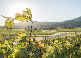 Coolangatta Estate, Shoalhaven Heads - South Coast