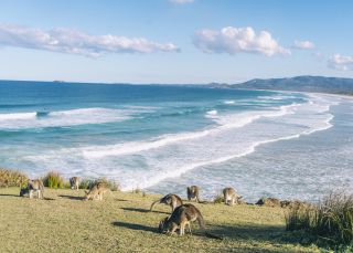 Scenic coastline along Emerald Beach on the Coffs Coast, North Coast