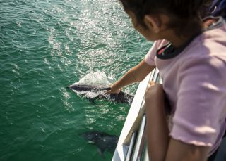 Young girl enjoying a dolphin watching experience on board the Moonshadow Dolphin Watch Cruise, Port Stephens