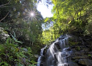 The picturesque Sylvia Falls in the Blue Mountains National Park, Wentworth Falls