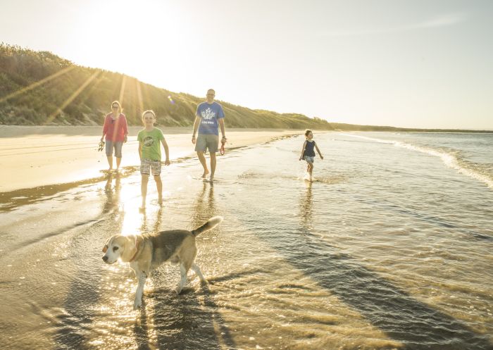 Family enjoying an evening walk with their pet dog along Currarong Beach, Currarong