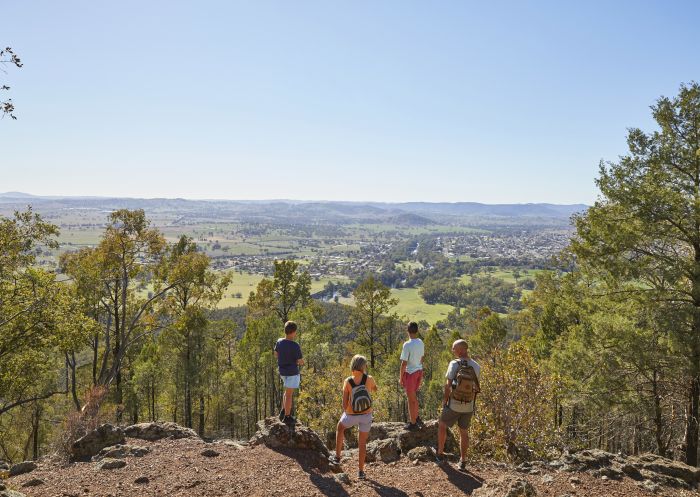 Family enjoying a hike through Mount Arthur Reserve near Wellington