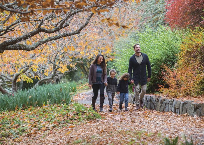 Family enjoying a visit to the Blue Mountains Botanic Garden in Mount Tomah, Blue Mountains