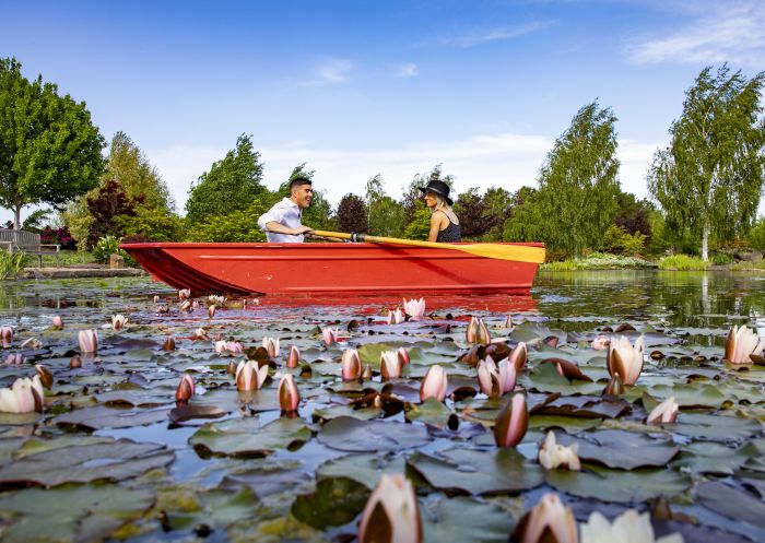 Couple rowing in a lake at Mayfield Garden - Oberon