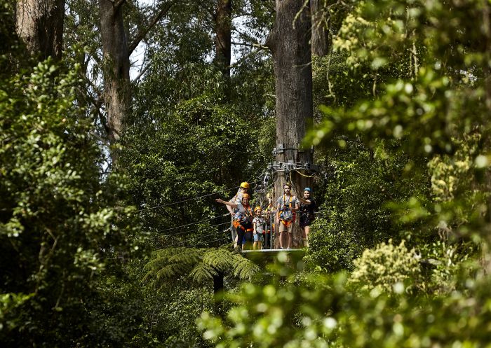 Visitors enjoying the Illawarra Fly Zipline Tour in Knights Hill, south of Wollongong