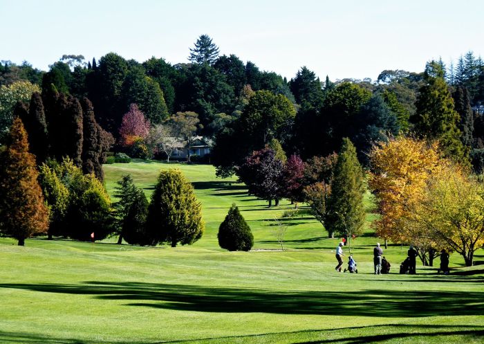 Blackheath Golf and Community Club in Blackheath, Katoomba Area, Blue Mountains