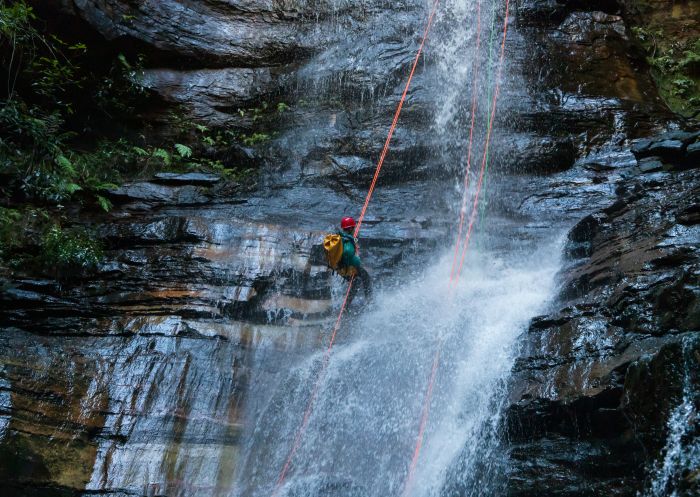 Abseiling_credit Dale Martin