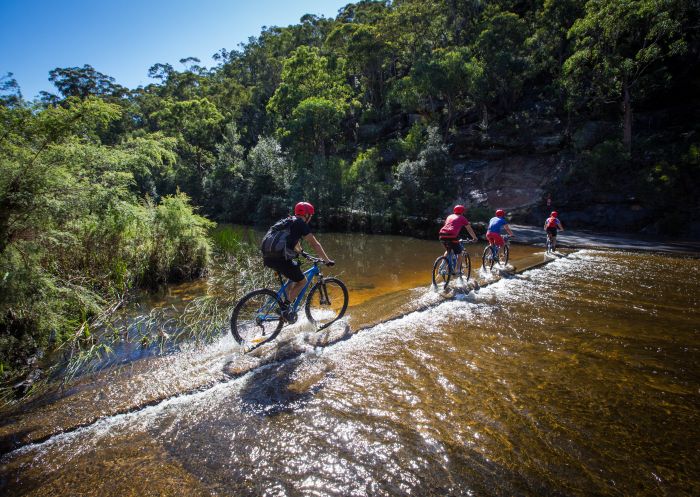 Friends enjoying mountain biking in Blue Mountains