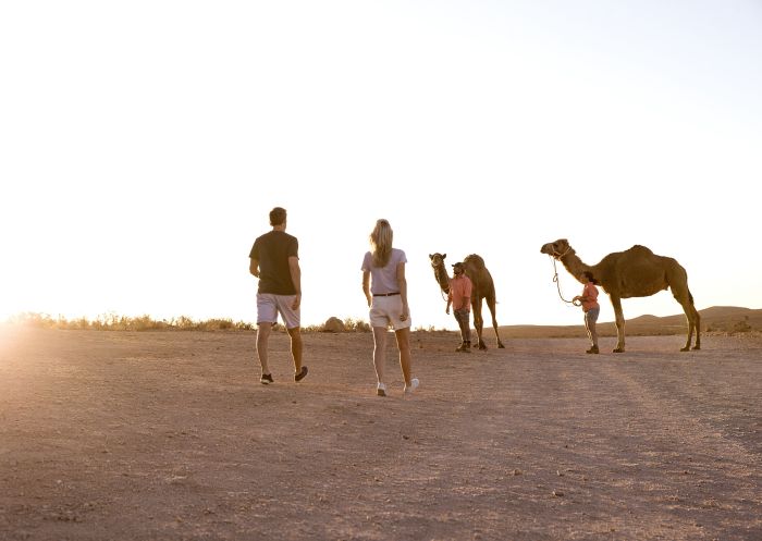 Couple meeting friendly camels at the Silverton Camel Farm in Silverton, Broken Hill Area