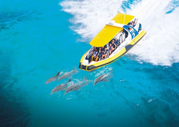 Wave Rider, Port Jet Cruises in Port Macquarie, North Coast