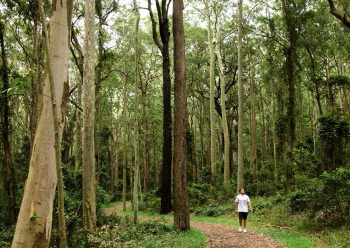 Blackbutt Reserve, Newcastle - Credit: Tyson Mayr