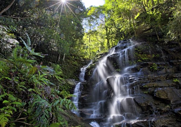 Sylvia Falls - Wentworth Falls - Blue Mountains