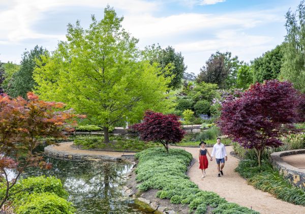 Couple enjoying the spring blooms at Mayfield Garden in Oberon, Blue Mountains