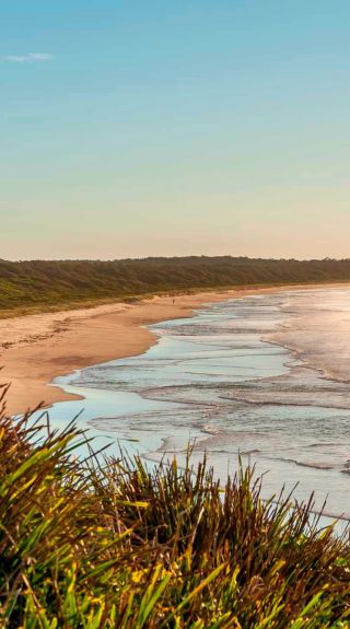 Burrawang Track, Narrawallee National Park