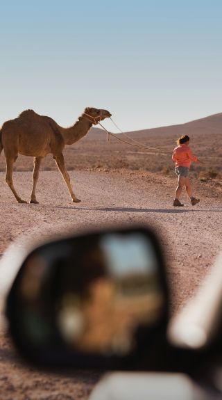 Silverton Camel Farm, Silverton