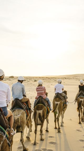 Sunset camel riding experience with in Anna Bay, Port Stephens