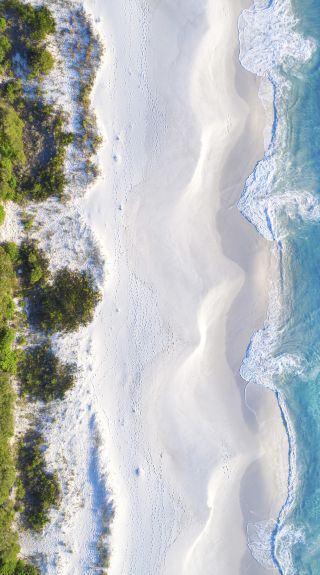 Hyams Beach in Jervis Bay, South Coast. Image Credit: Jordan Robins