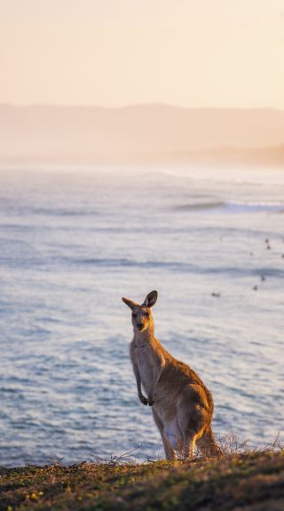 Look At Me Now Headland, Emerald Beach