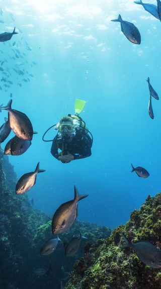 Scuba diver exploring the Julian Rocks dive site, Byron Bay