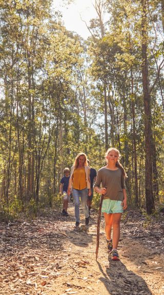 Bushland at Mogo in Batemans Bay Area, South Coast