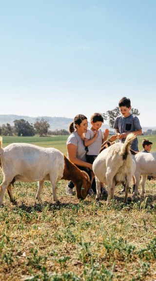 Hillview Farmstay - Credit: Cootamundra-Gundagai Regional Council