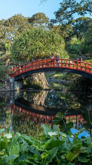 Botanic Garden, Wollongong - Credit: Wollongong Botanic Garden