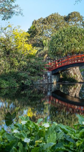 Wollongong Botanic Garden - Credit: Wollongong Botanic Garden