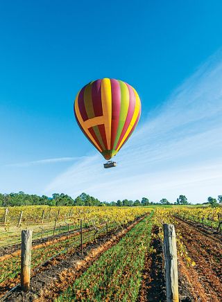 Hot Air Ballooning in the Hunter Valley