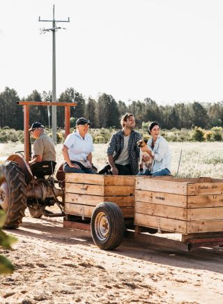 Glendale Citrus Hazelnut Orchard Tours, Sandigo in the Riverina