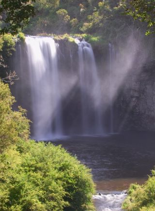 Scenic shot of Dangar Falls, near Dorrigo, North Coast