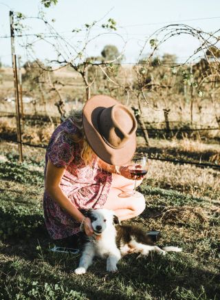 Woman patting the resident wine dog at Blueberry Hill Wines, Rothbury