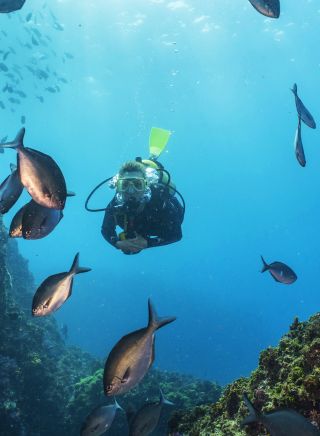 Scuba diver exploring the Julian Rocks dive site, Byron Bay