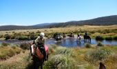 Reynella Rides - Cooma 