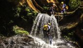 Empress Falls, Blue Mountains