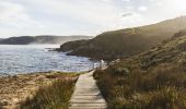 Scenic coastal views from Bouddi National Park in Bouddi, Central Coast