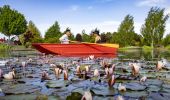 Couple rowing in a lake at Mayfield Garden - Oberon