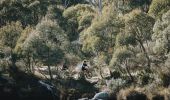 Couple enjoying a day of mountain biking on the Thredbo Valley Track in Kosciuszko National Park, Snowy Mountains