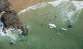 Aerial of people enjoying a sunny day at Town Beach in Port Macquarie, North Coast 