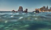 Father and son enjoying a morning surf at Glasshouse Rocks in Narooma, South Coast