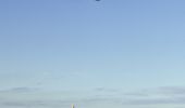 Qantas plane taking off from Sydney airport, with views to the city in the background