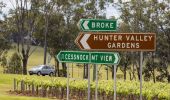 Car passing a local vineyard in the Hunter Valley