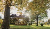 Autumn leaves in Anzac Park in Glen Innes, Country NSW