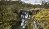 The scenic Ebor Falls in Guy Fawkes River National Park, Ebor