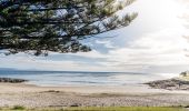 Scenic coastal views from Horseshoe Bay Beach in South West Rocks, Macleay Valley Coast