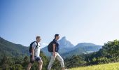 Couple enjoying a walk through the 25 acres of farm nestled at the base of Wollumbin-Mt Warning