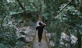 Woman enjoying the scenic walk by the Minnamurra Rainforest Centre in Budderoo National Park, South Coast