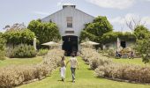 Lowe Wines in Mudgee