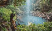 Dorrigo National Park - Credit: Branden Bodman