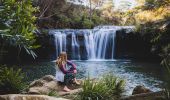 Nellies Glen, Budderoo National Park