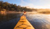 Wollemi National Park - Credit: Daniel Tran